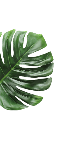 left-leaf