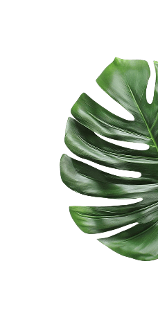 right-leaf